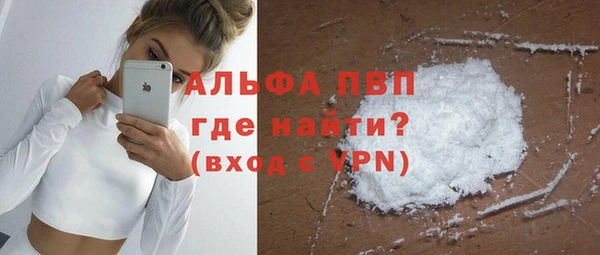 сатива Богородицк