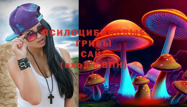 сатива Богородицк