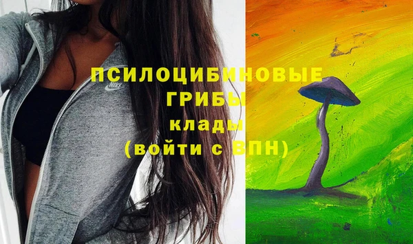 apvp Бронницы
